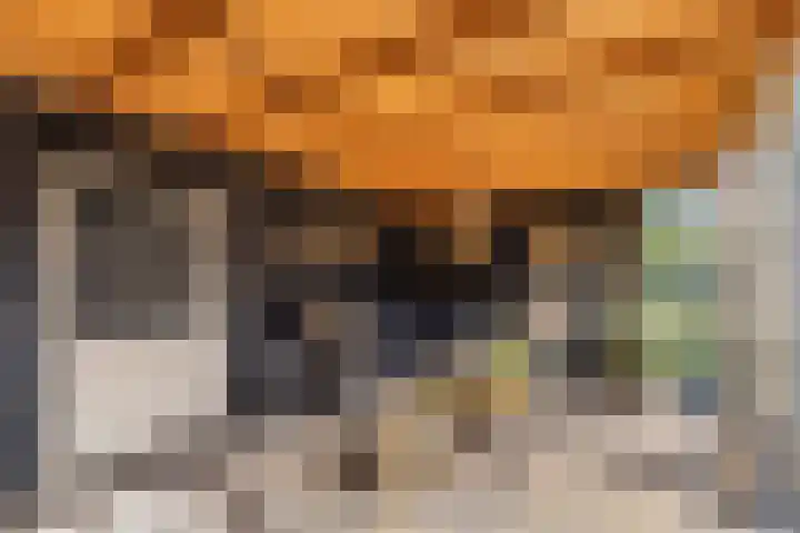 Dûmnysbosk 20 Nij Beets thumbnail 42