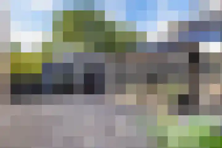 Dûmnysbosk 20 Nij Beets thumbnail 43