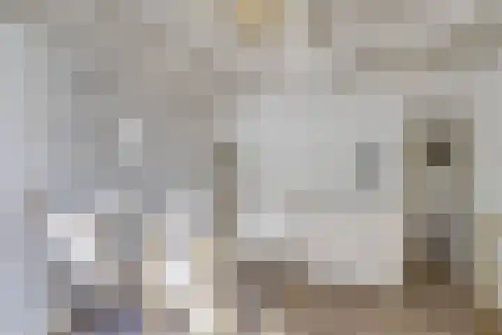 Dûmnysbosk 20 Nij Beets thumbnail 44