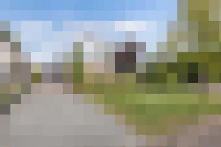 Dûmnysbosk 20 Nij Beets thumbnail 45
