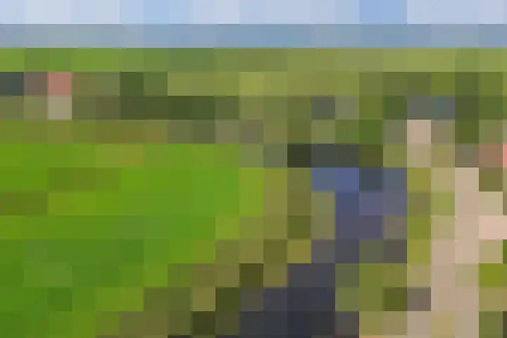 Dûmnysbosk 20 Nij Beets thumbnail 46