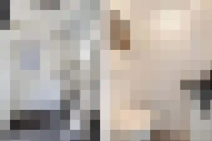 Dûmnysbosk 20 Nij Beets thumbnail 6
