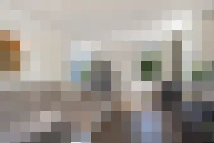 Dûmnysbosk 20 Nij Beets thumbnail 7