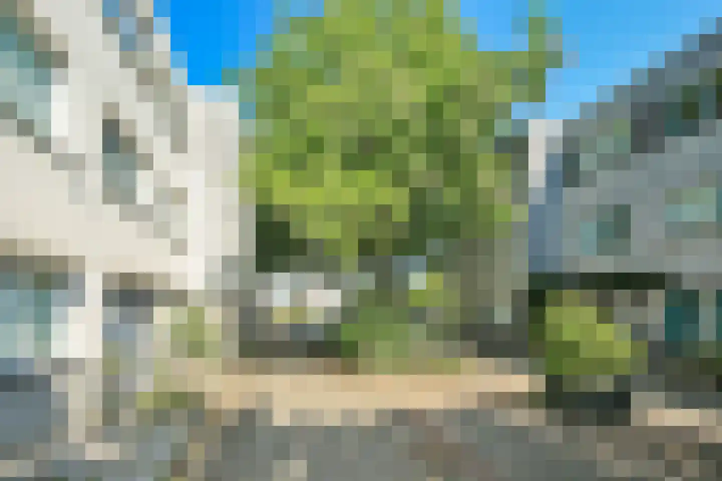 Dumontstraat 4 Haarlem thumbnail 4