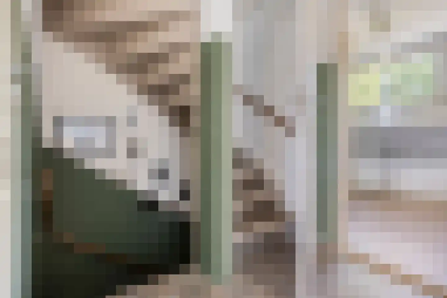 Dunantlaan 15 Vlijmen thumbnail 14