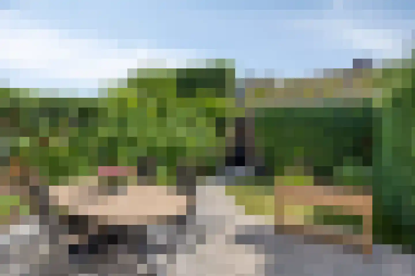 Dunantlaan 15 Vlijmen thumbnail 26