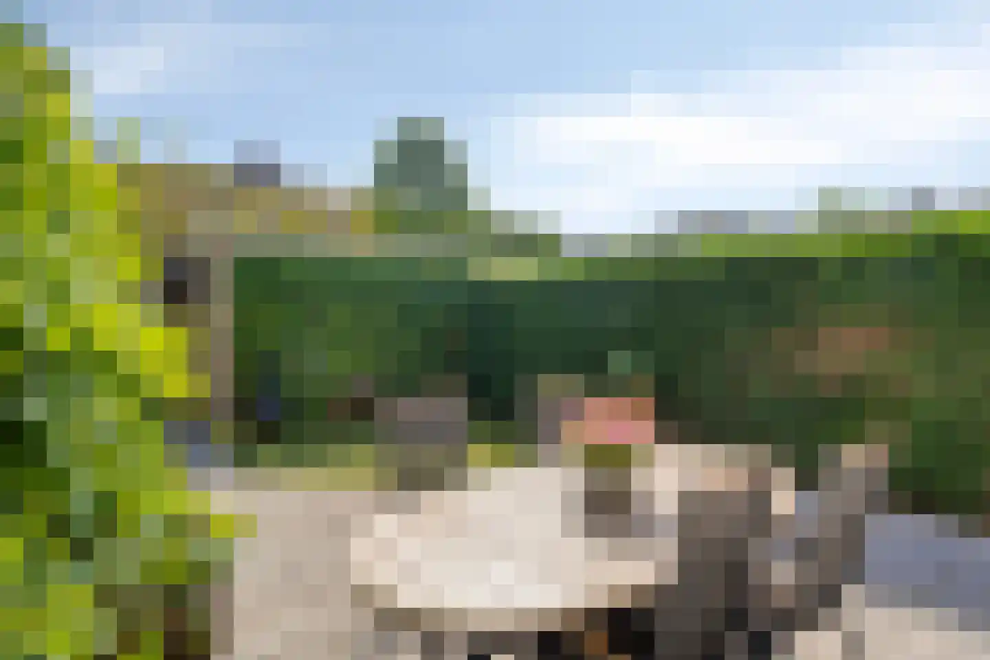 Dunantlaan 15 Vlijmen thumbnail 27
