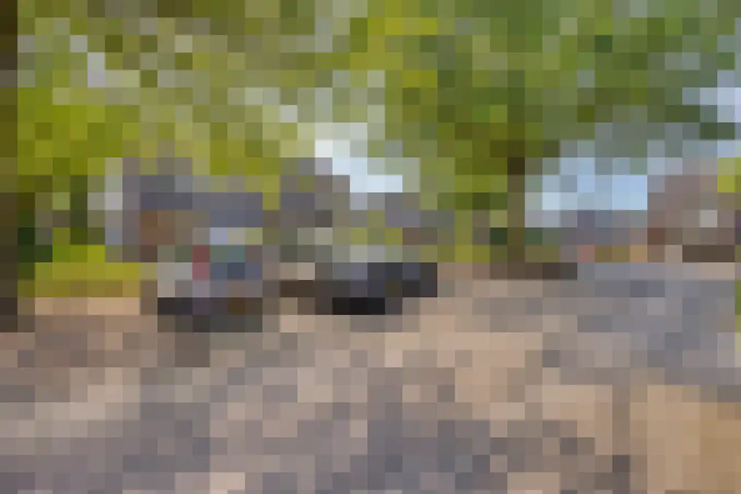Dunantlaan 15 Vlijmen thumbnail 30