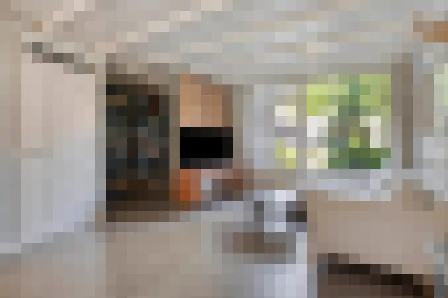 Dunantlaan 15 Vlijmen thumbnail 4