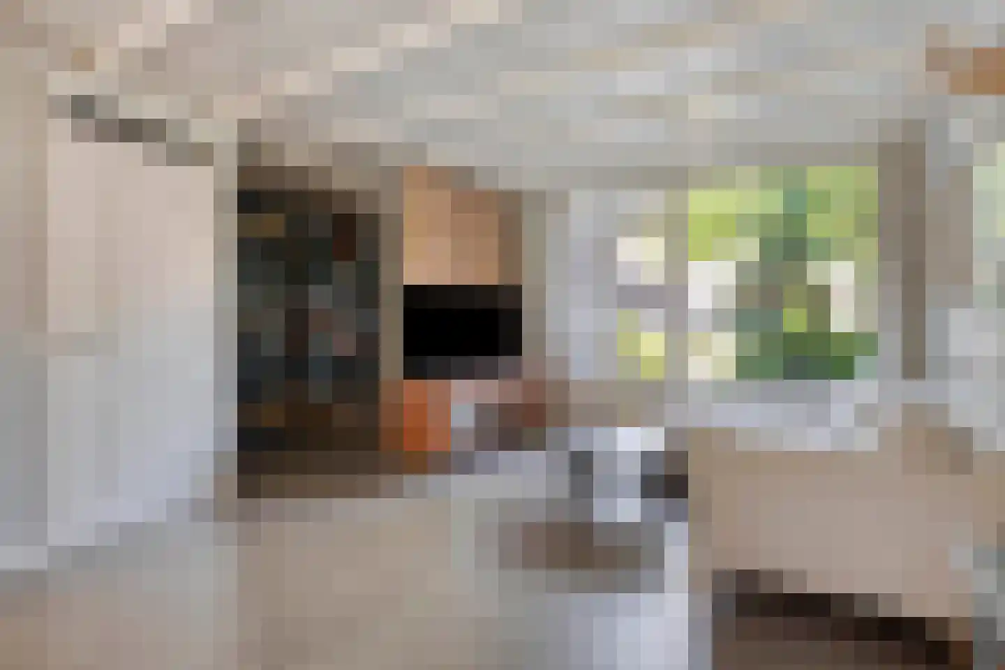Dunantlaan 15 Vlijmen thumbnail 7