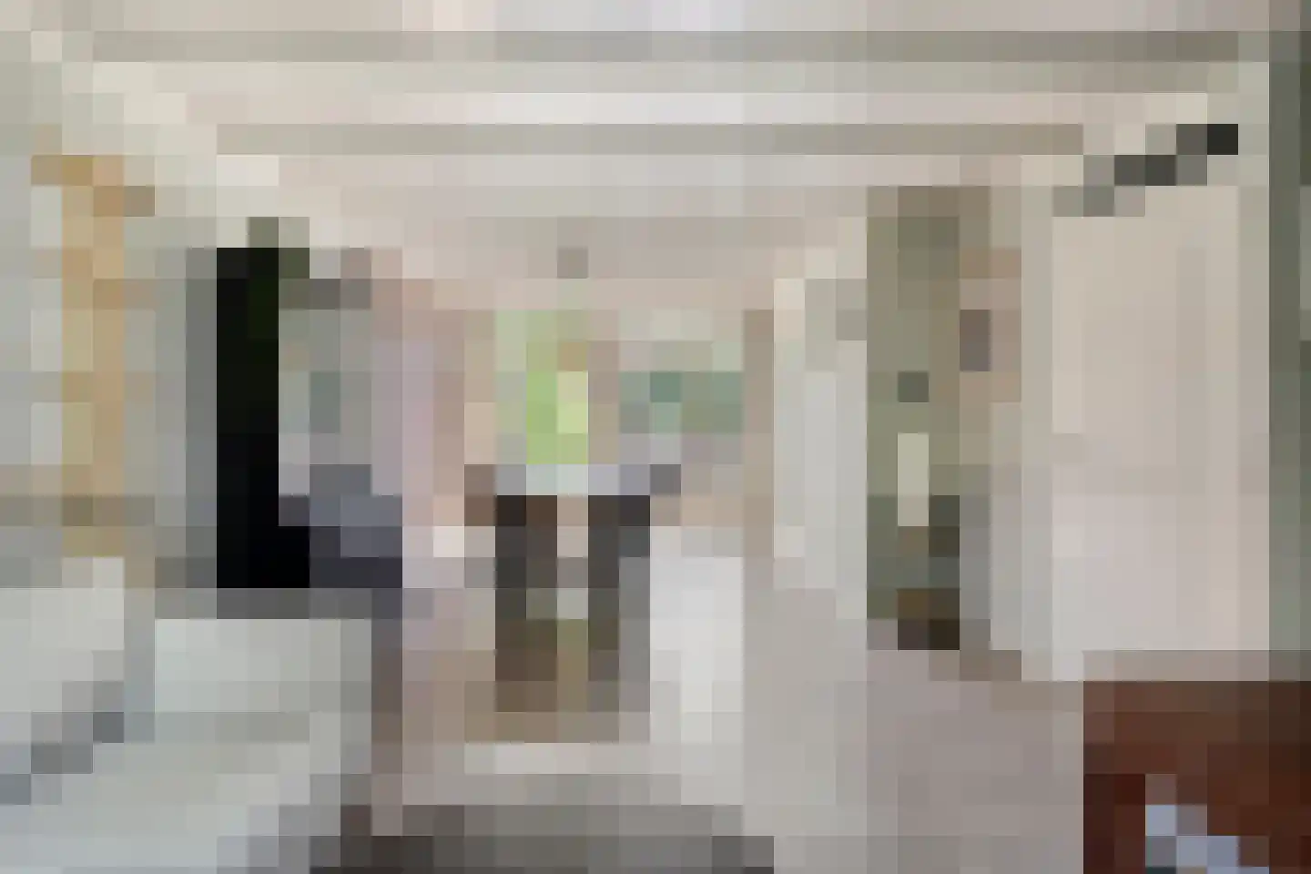 Dunantlaan 15 Vlijmen thumbnail 9