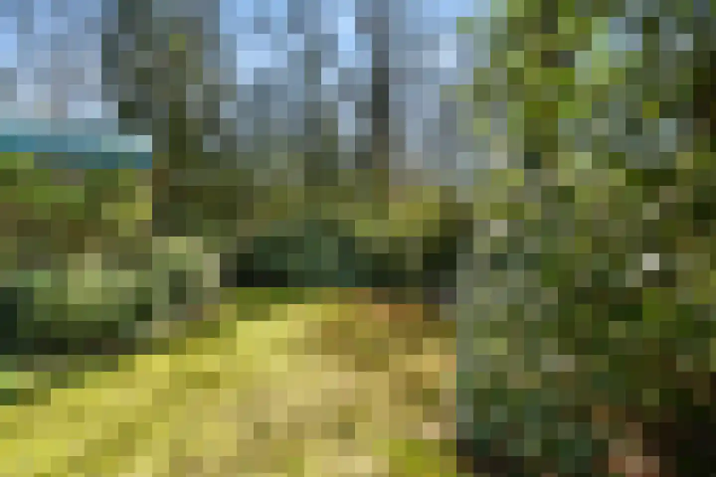 Dunantlaan 4 Bennekom thumbnail 15
