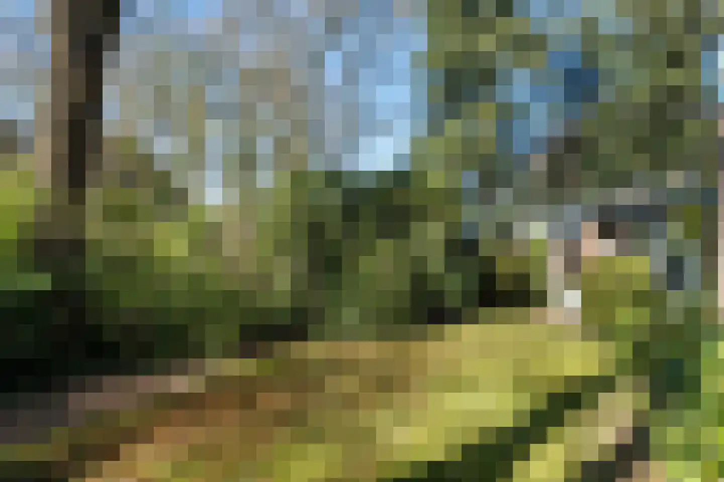 Dunantlaan 4 Bennekom thumbnail 16