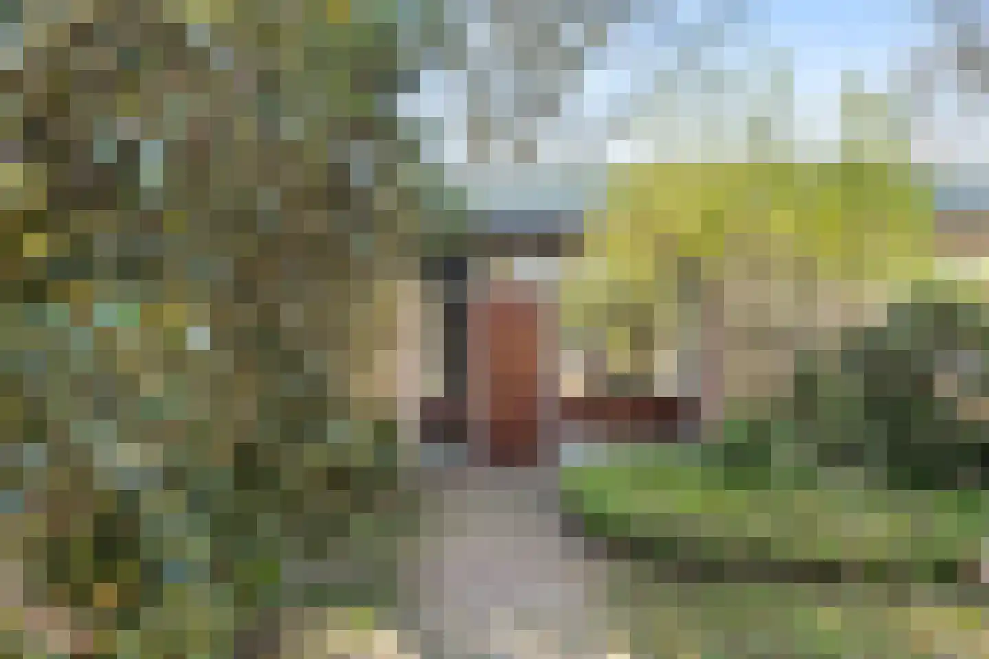 Dunantlaan 4 Bennekom foto 2