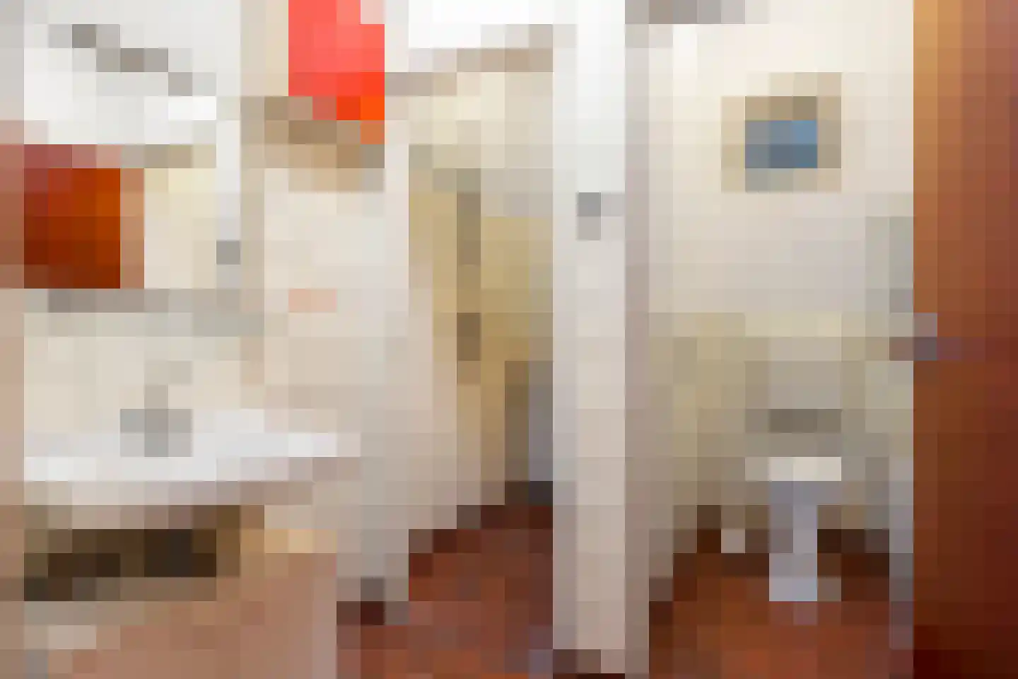 Dunantlaan 4 Bennekom thumbnail 33