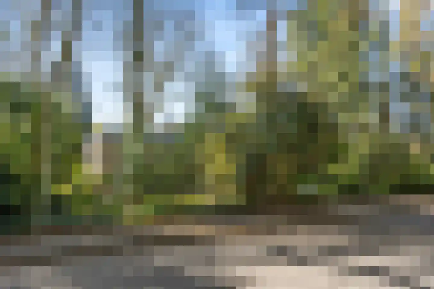 Dunantlaan 4 Bennekom thumbnail 40