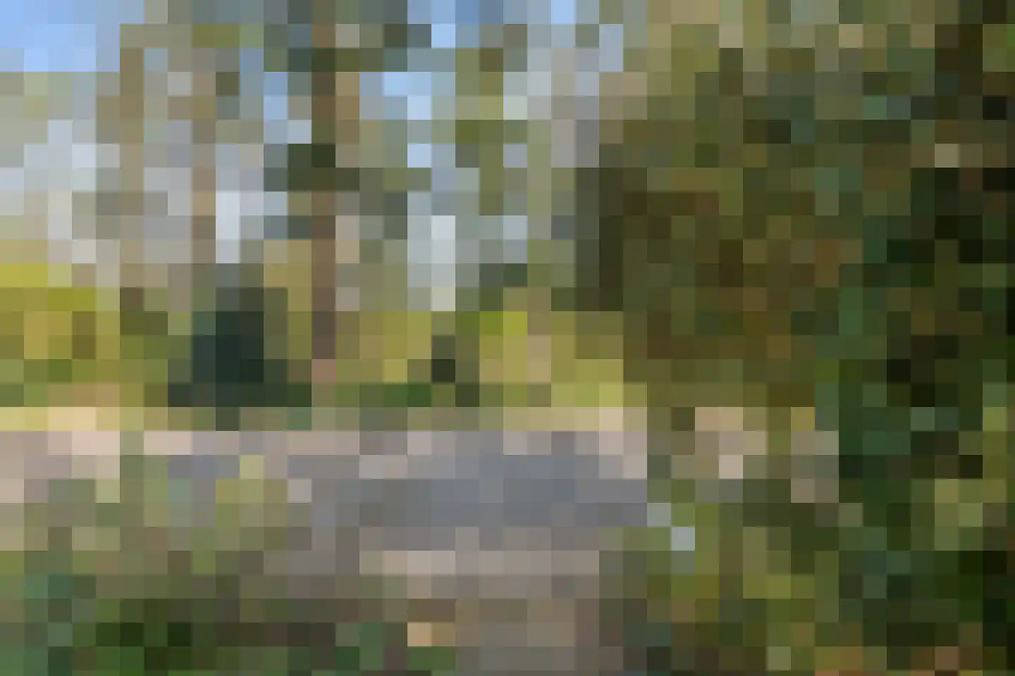Dunantlaan 4 Bennekom thumbnail 41