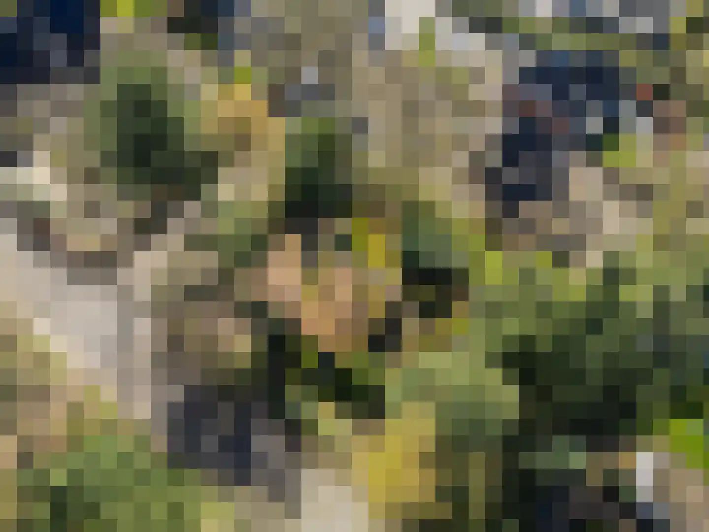Dunantlaan 4 Bennekom thumbnail 44