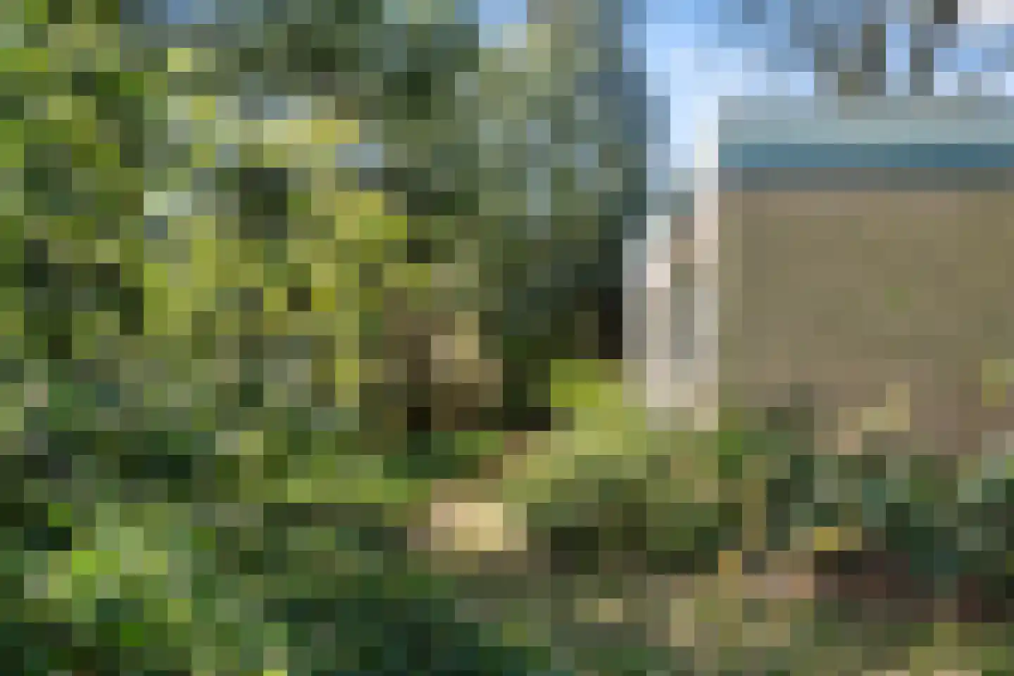 Dunantlaan 4 Bennekom thumbnail 7