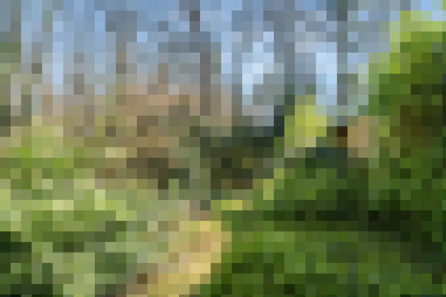 Dunantlaan 4 Bennekom thumbnail 8