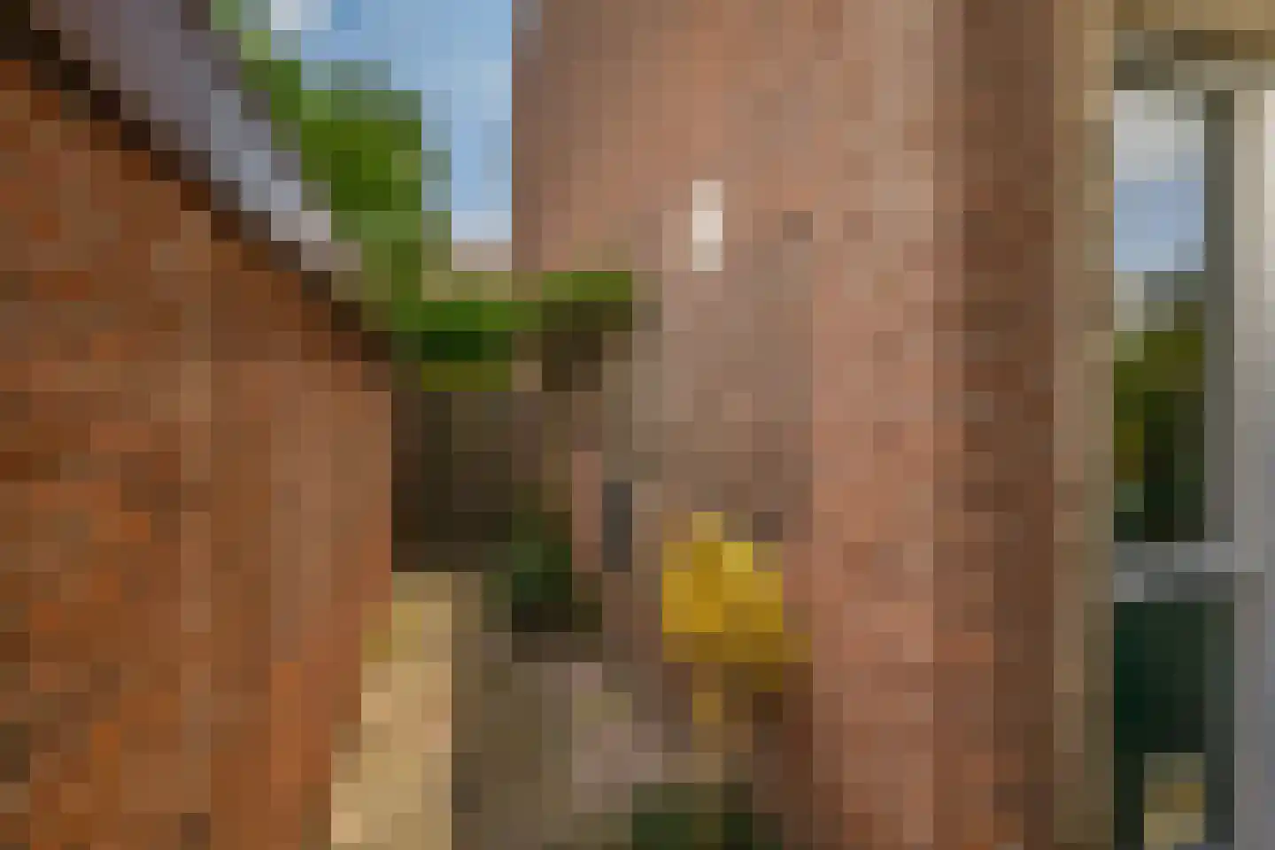 Dunantlaan 9 Pijnacker thumbnail 10