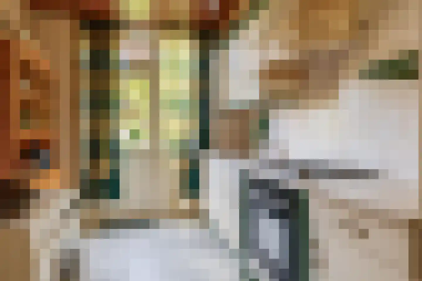 Dunantlaan 9 Pijnacker thumbnail 12