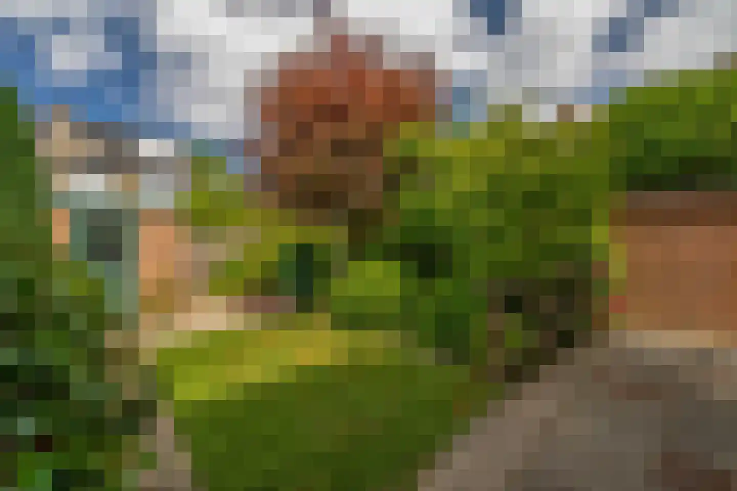 Dunantlaan 9 Pijnacker thumbnail 7
