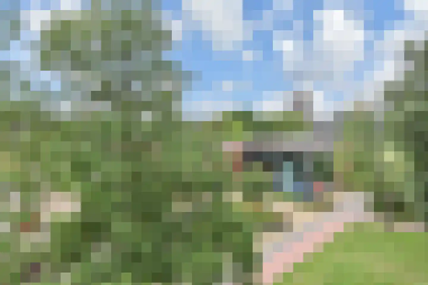 Dunantstraat 100 Zoetermeer thumbnail 21
