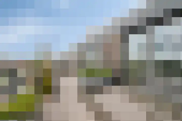 Dunantstraat 103 Roosendaal thumbnail 4