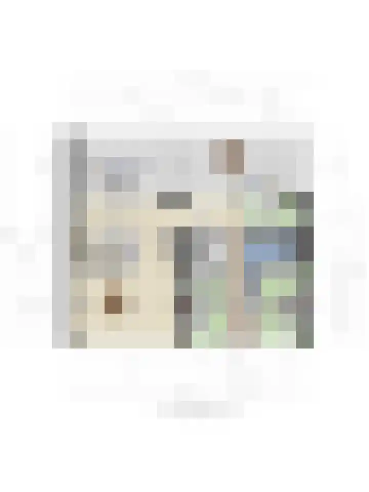 Dunantstraat 103 Roosendaal thumbnail 47