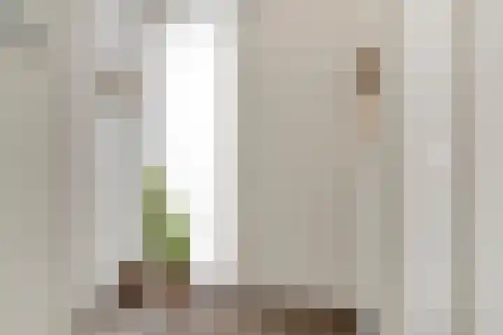 Dunantstraat 103 Roosendaal thumbnail 6