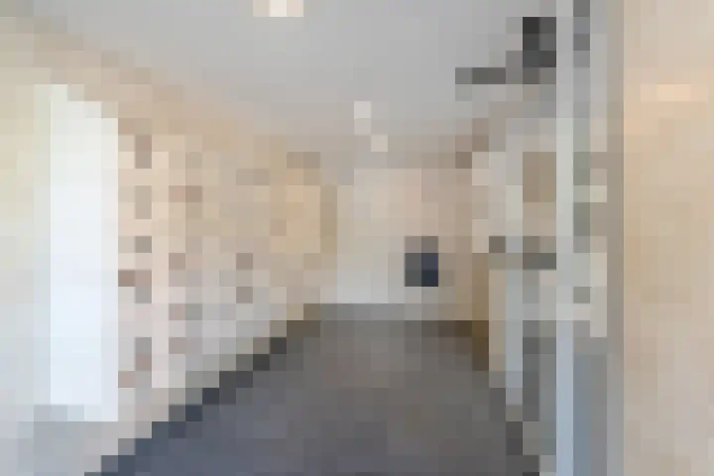 Dunantstraat 104 Zoetermeer thumbnail 5