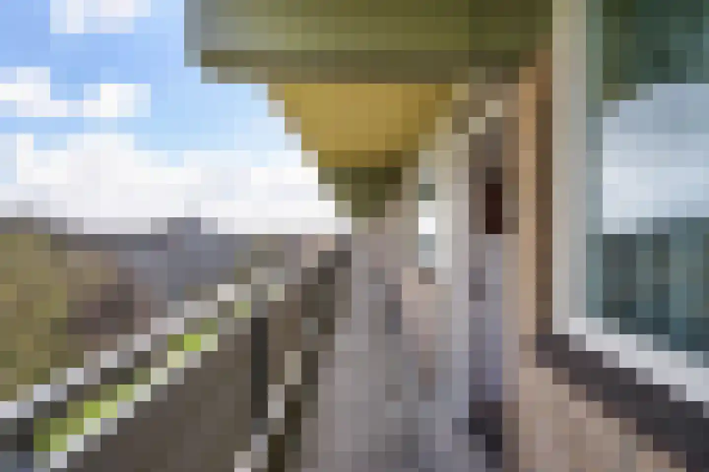 Dunantstraat 1047 Zoetermeer thumbnail 13