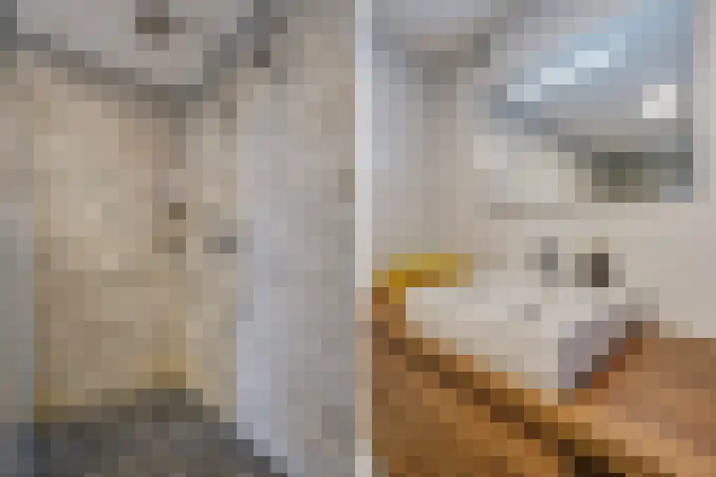 Dunantstraat 1047 Zoetermeer thumbnail 4