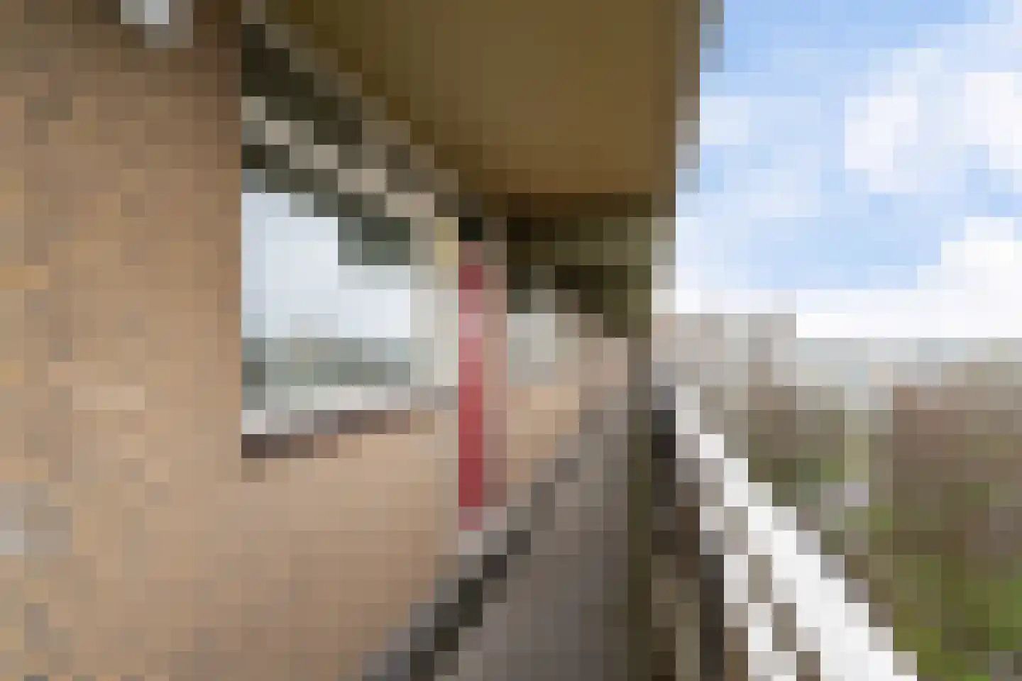 Dunantstraat 1075 Zoetermeer thumbnail 12