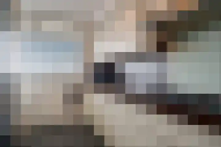 Dunantstraat 1075 Zoetermeer thumbnail 24