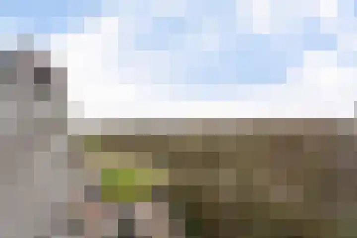 Dunantstraat 1075 Zoetermeer thumbnail 42