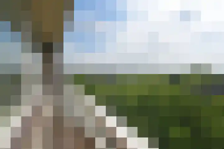 Dunantstraat 1083 Zoetermeer thumbnail 20