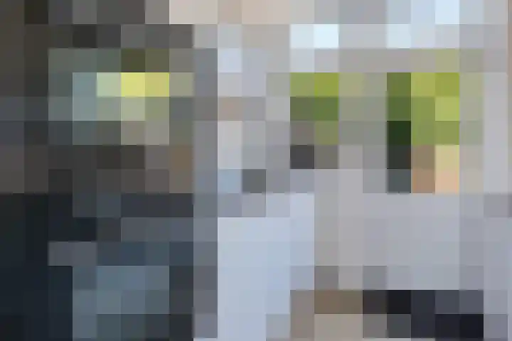 Dunantstraat 11 Assen thumbnail 17