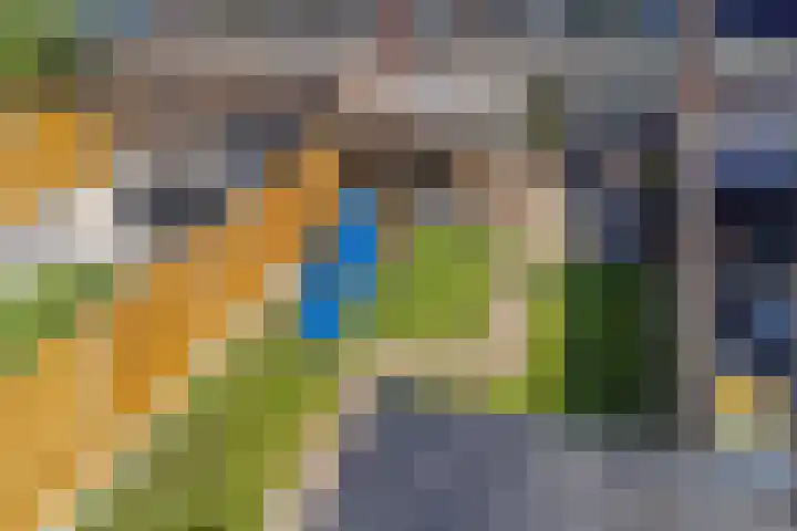 Dunantstraat 11 Assen thumbnail 4