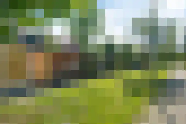 Dunantstraat 11 Assen thumbnail 40