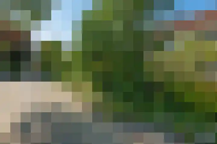 Dunantstraat 11 Assen thumbnail 44