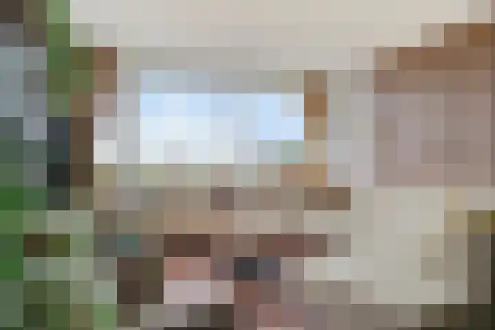 Dunantstraat 1101 in Zoetermeer