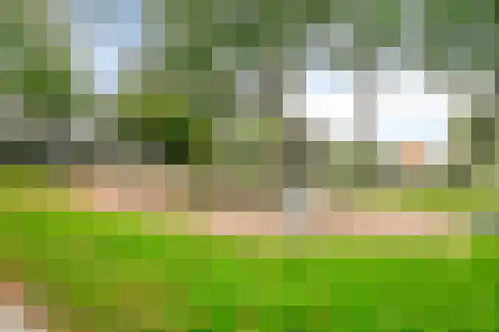 Dunantstraat 1101 Zoetermeer thumbnail 38
