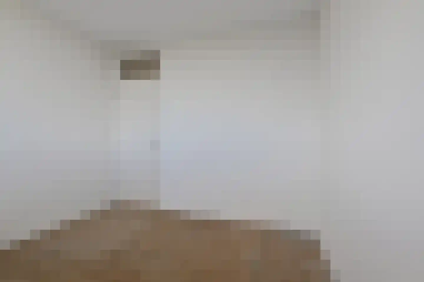 Dunantstraat 1103 Zoetermeer thumbnail 31