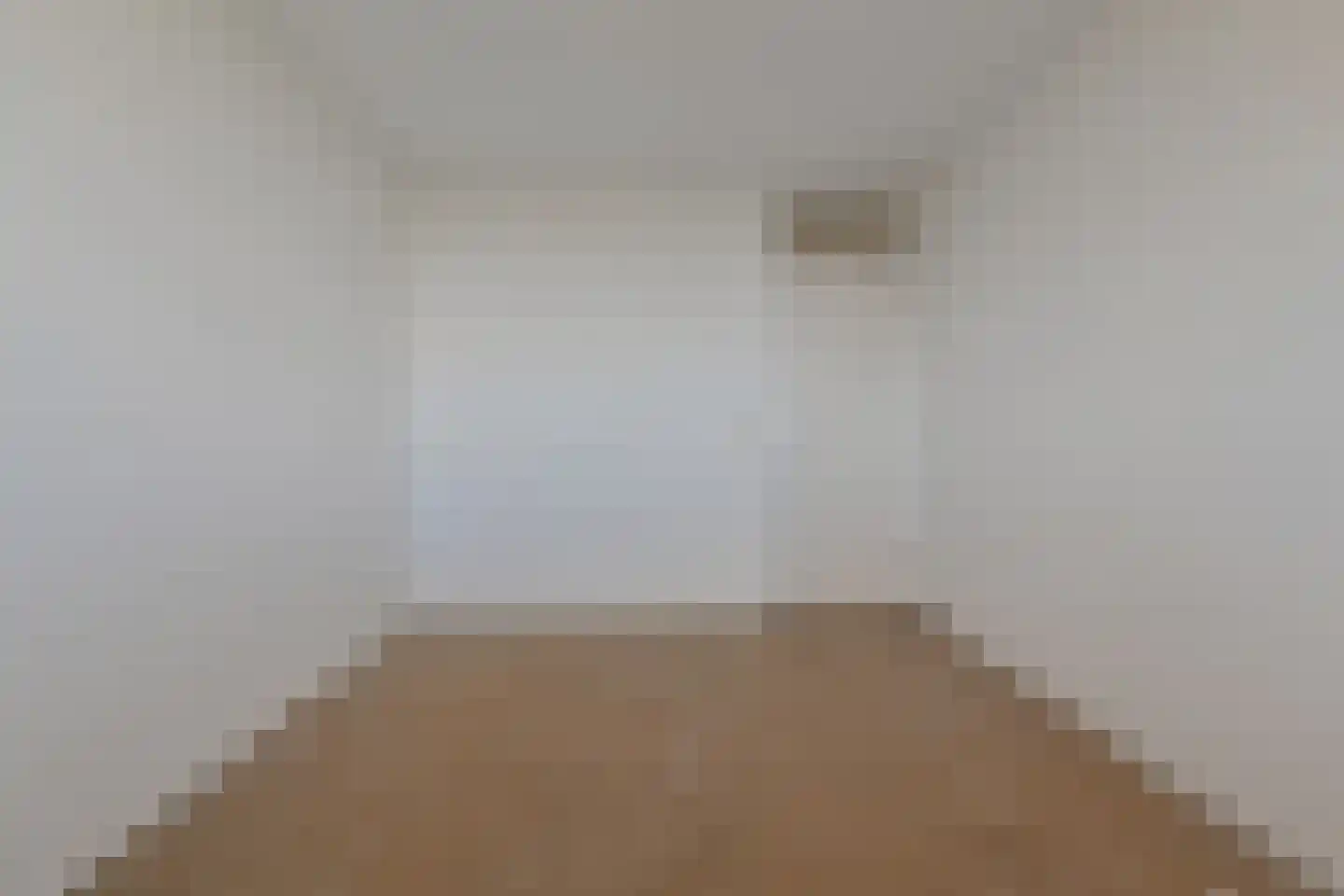 Dunantstraat 1103 Zoetermeer thumbnail 33