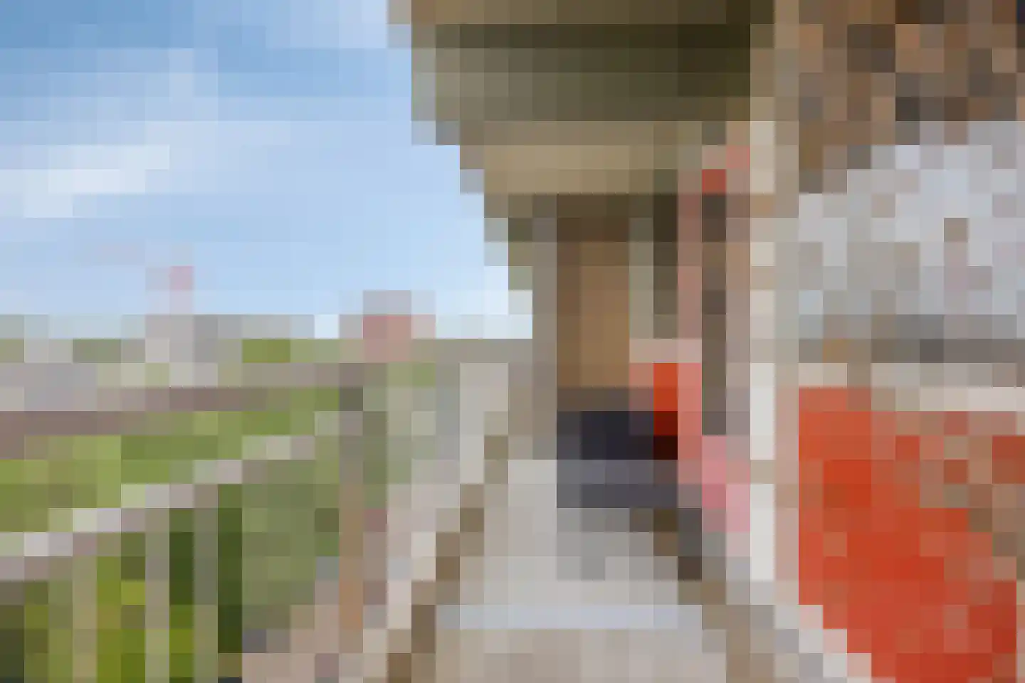 Dunantstraat 1127 Zoetermeer thumbnail 13