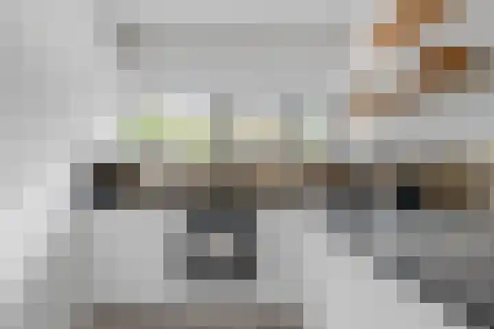 Dunantstraat 1223 Zoetermeer thumbnail 11