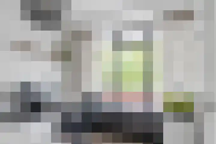 Dunantstraat 1223 Zoetermeer thumbnail 17