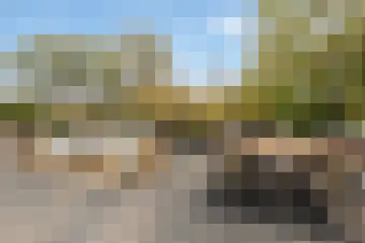 Dunantstraat 1223 Zoetermeer thumbnail 4